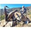 Image 2 : 798 #SLA-98 Southeastern Ibex Hunt, Spain