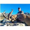 Image 4 : 798 #SLA-98 Southeastern Ibex Hunt, Spain
