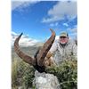 Image 5 : 798 #SLA-98 Southeastern Ibex Hunt, Spain
