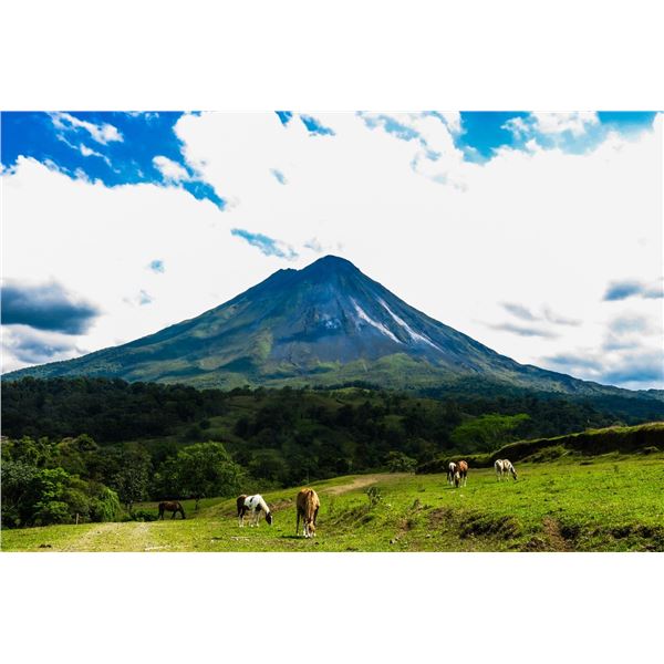 Vacation Passport – The Winner Chooses the Destination!