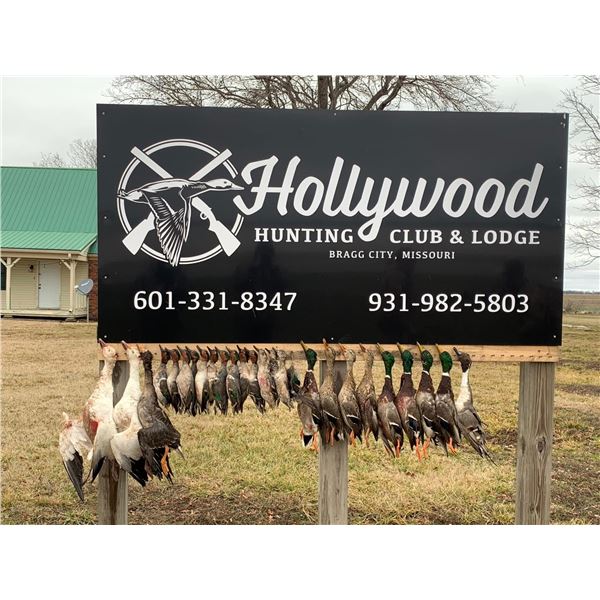 4-Person Missouri Conservation Snow Goose Hunt with Hollywood Outfitters