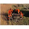 Image 1 : Double P Ranch Pheasant and Partridge Hunt in South Dakota