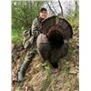 Image 1 : Ohio Fall Turkey Hunt for 1 with Brett Berry