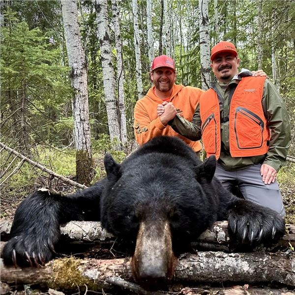 Canadian Black Bear and Waterfowl Combo Hunt with Great Grey/Western Trophy Outfitter’s