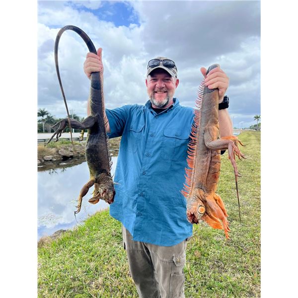 Fully Guided 1-Day Air Rifle Iguana Hunt for 2 in Florida