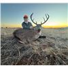Image 1 : 5-Day, 5-Night Oklahoma Whitetail Hunt for 1 with Prairie Creek Outfitters