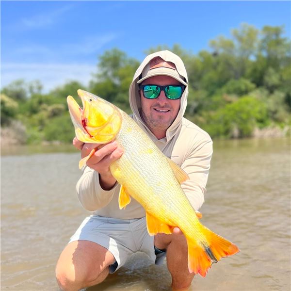 Combo Dove and Pigeon Hunt or Golden Dorado Fishing in Argentina for 8 with Wingshooting Unlimited