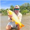 Image 1 : Combo Dove and Pigeon Hunt or Golden Dorado Fishing in Argentina for 8 with Wingshooting Unlimited