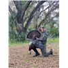Image 1 : Osceola Turkey Hunt for 2 with Elk River Outfitters
