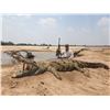 Image 1 : Trophy Croc and Golden Wildebeest Hunt for 2 with Sandstone Safaris