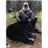 Image 1 : Canadian Bear Hunt for 1 with Tobique Valley Outfitters
