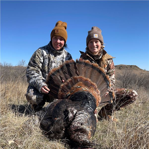 One-of-a-Kind North Dakota 2026 Spring Turkey Hunt Two Turkey Tags with Lodging