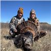 Image 1 : One-of-a-Kind North Dakota 2026 Spring Turkey Hunt Two Turkey Tags with Lodging