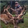 Image 1 : New Zealand Red Stag and Merriam’s Wild Turkey Hunt with New Zealand Turkey Adventures