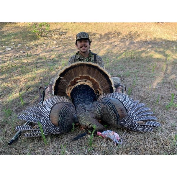 2-day, 3-night Texas Rio for 2 with First Shot Hunts