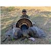 Image 1 : 2-day, 3-night Texas Rio for 2 with First Shot Hunts
