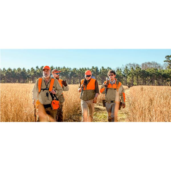 Fully Guided Half-Day Alabama Quail Hunt for 1 with The Orvis Company