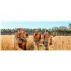 Image 1 : Fully Guided Half-Day Alabama Quail Hunt for 1 with The Orvis Company