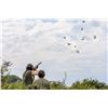 Image 1 : Argentina/Uruguay Dove Hunt for 8 with David Denies Bird Hunting