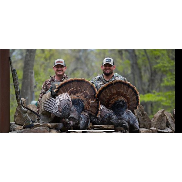 Eastern/Rio Hybrid Kansas Turkey Hunt for 4 with KNS Outfitter's