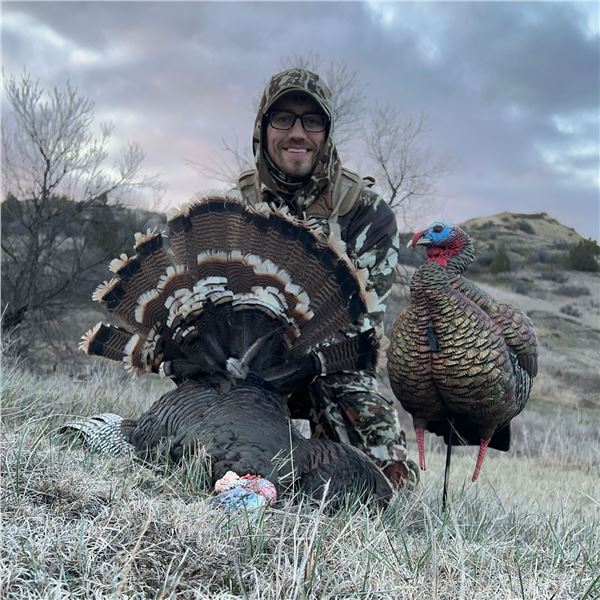 One-of-a-Kind North Dakota Spring Turkey Tag- 2026