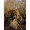 Image 1 : Nebraska and Missouri Turkey Hunt for 2 with Pro Outfitters