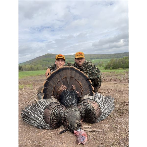 Eastern Turkey Hunt for 2 with Flat Creek Outfitters in New York