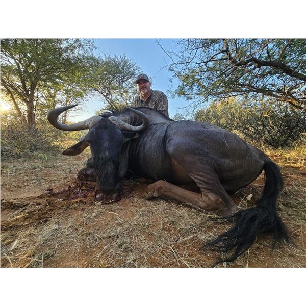 Luxury African Safari for 4 with Majestic Pursuit African Safaris