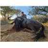Image 1 : Luxury African Safari for 4 with Majestic Pursuit African Safaris