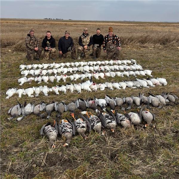 Saskatchewan Canada Mixed Bag Waterfowl Hunt for 5