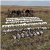 Image 1 : Saskatchewan Canada Mixed Bag Waterfowl Hunt for 5
