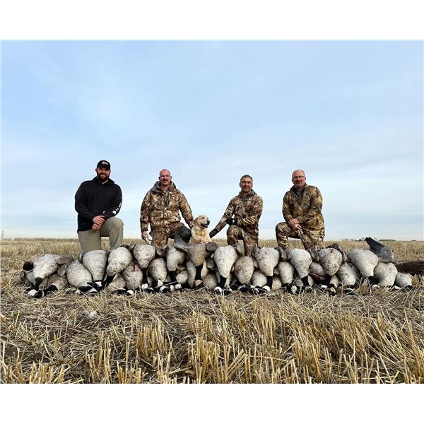 3-day, 3-night Alberta Waterfowl Adventure for 6 with Alberta’s Fall Flight