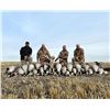 Image 1 : 3-day, 3-night Alberta Waterfowl Adventure for 6 with Alberta’s Fall Flight