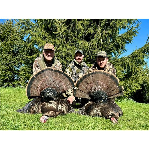 Canadian Eastern Wild Turkey Hunt for 1 with East to West Outfitting