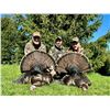 Image 1 : Canadian Eastern Wild Turkey Hunt for 1 with East to West Outfitting