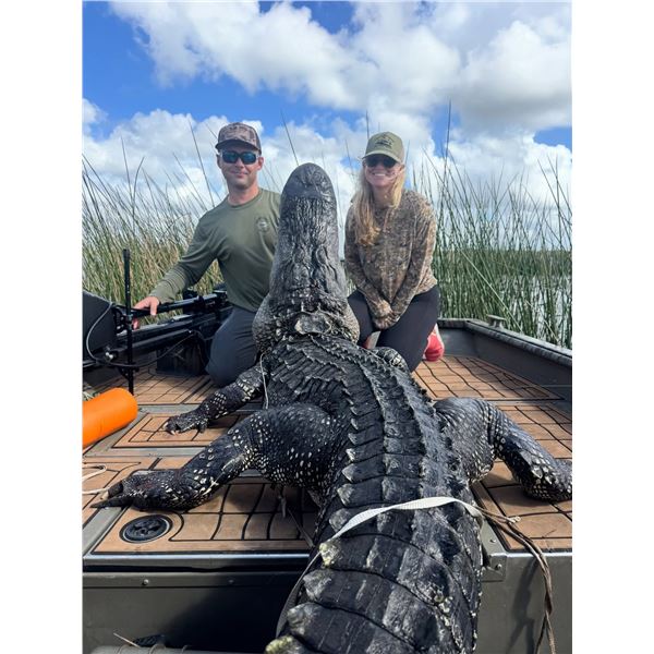 South Florida Alligator Hunt with Swamp Addict Outdoors