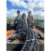 Image 1 : South Florida Alligator Hunt with Swamp Addict Outdoors