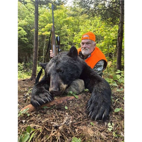 Canadian Black Bear Hunt for 1 Hunter and 1 Guest with Owl Lake Outfitters