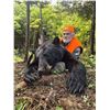 Image 1 : Canadian Black Bear Hunt for 1 Hunter and 1 Guest with Owl Lake Outfitters