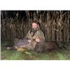Image 1 : Maryland Sika Hunt for 2 Hunters with Muddy Bottom Outfitters