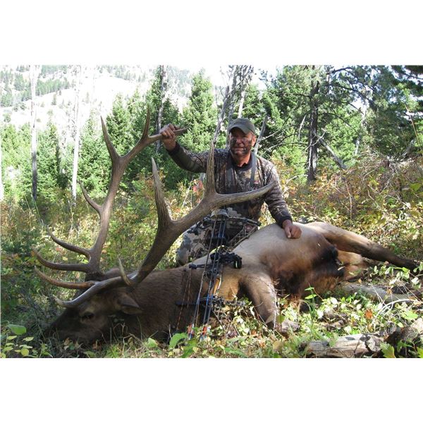 Archery Elk Hunt with Lone Wolf Guide Service in Montana