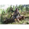 Image 1 : Archery Elk Hunt with Lone Wolf Guide Service in Montana
