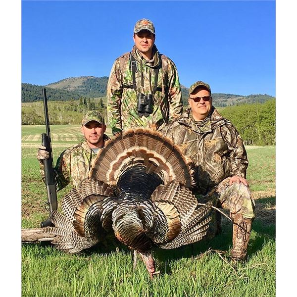 Alberta (Canada) Minister’s Special Merriam’s Turkey License for 1