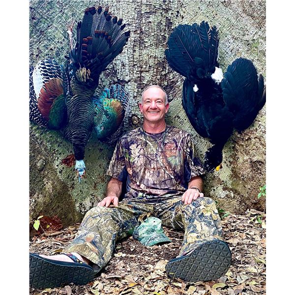 Ocellated Turkey and Greater Curassow Hunt for 2 with Baja Hunting