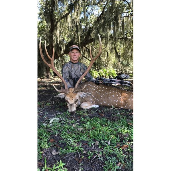 Florida Axis Trophy Buck & Doe Hunt for 2 Hunters