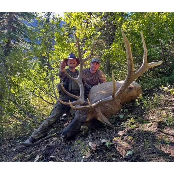 5-day Archery Elk Rut Hunt for 2 in British Columbia