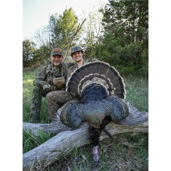 5-day, 5-night Nebraska Turkey Hunt for 1 with The Roost Lodge