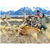 Image 1 : 5-day, 4-night Hunt for 2 Hunters and 2 Guests with New Zealand Safaris