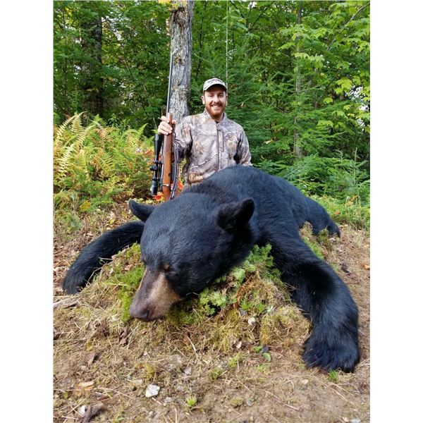 7-day, 6-night Maine Black Bear Hunt for 1 with OMM Outfitters