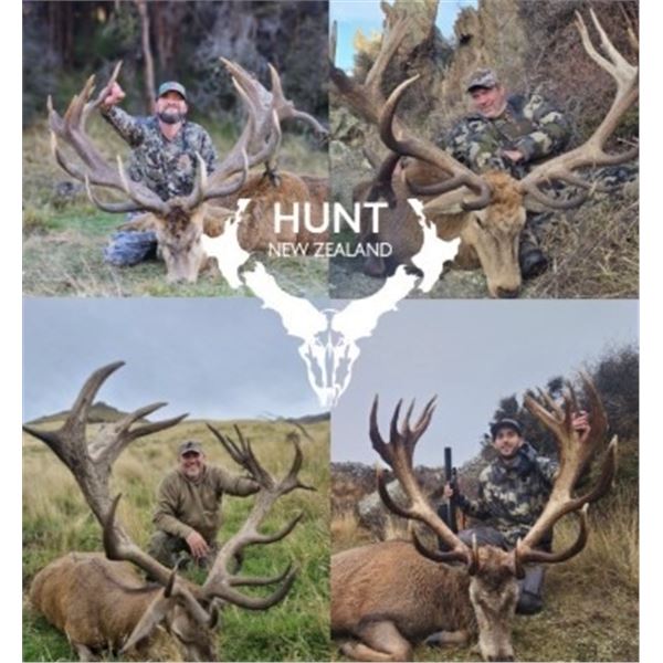 5 Day New Zealand 500 Class Red Stag hunt for 1 hunter and 1 companion